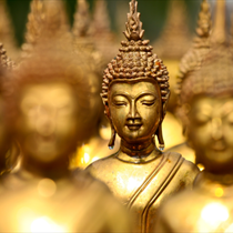 Statue di buddha color oro