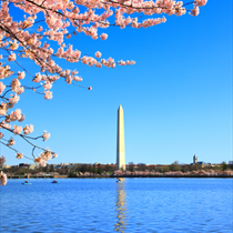 Vista del monumento a Washington