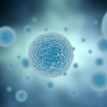 Cellule blu in macro