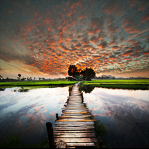 Lago tropicale al tramonto