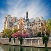 Vista del Notre dame di Parigi