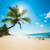 Spiaggia tropicale