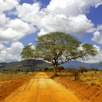 Paesaggio del Kenya