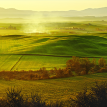 Panorama mattiniero in Toascana