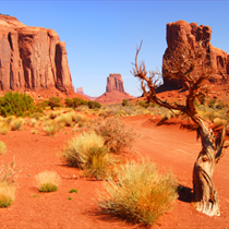 Navajo park