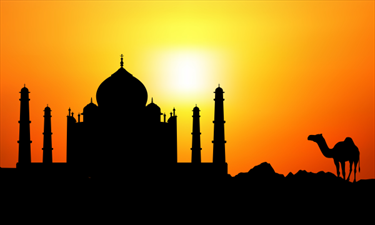 Taj Mahal e cammello al tramonto