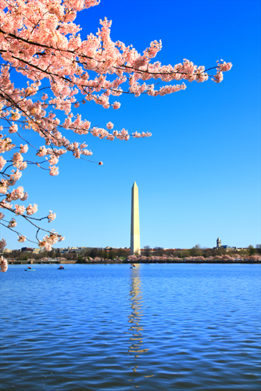 Vista del monumento a Washington