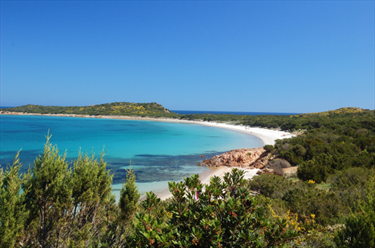 Lingua di Spiaggia in Sardegna