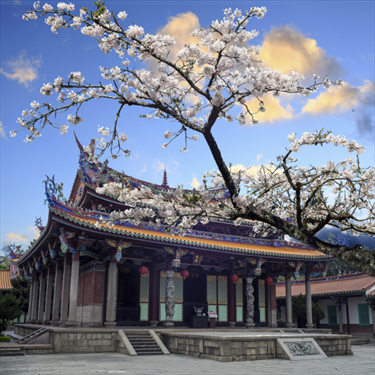 Sakura tempio giapponese