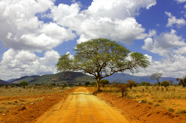 Paesaggio del Kenya