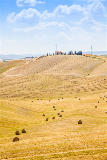 Paesaggio Toscano