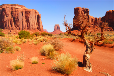 Navajo park